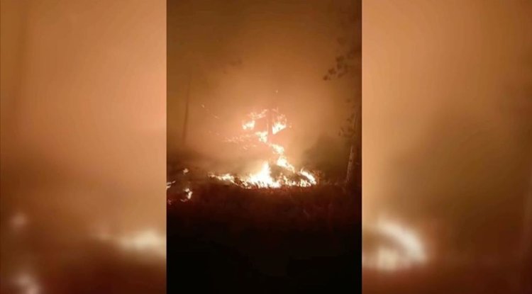 Muğla'da çıkan orman yangınına müdahale ediliyor