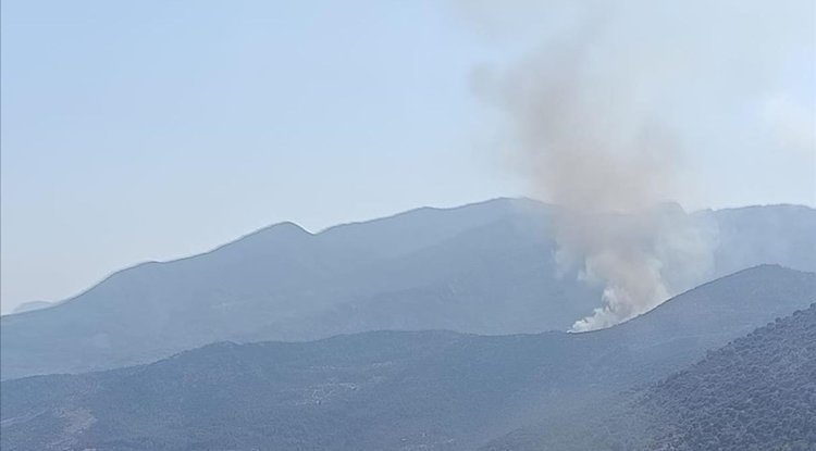 Muğla'da ormanlık alanda yangın çıktı
