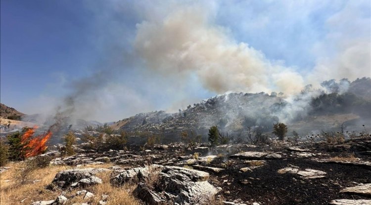 Bingöl'de ormanlık alanda çıkan yangına müdahale ediliyor
