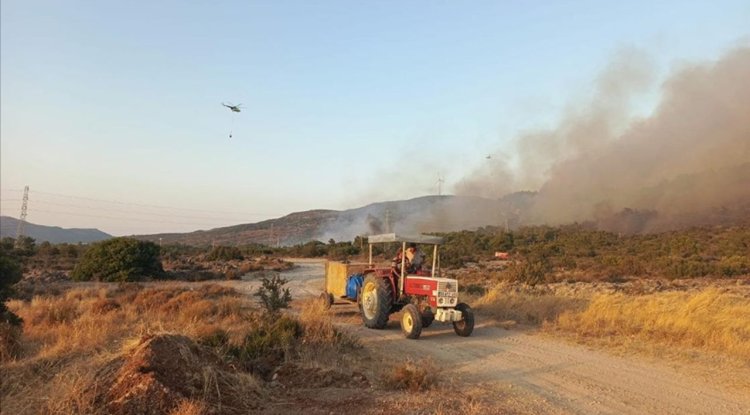 İzmir'de tarım alanında başlayan yangın ormana sıçradı