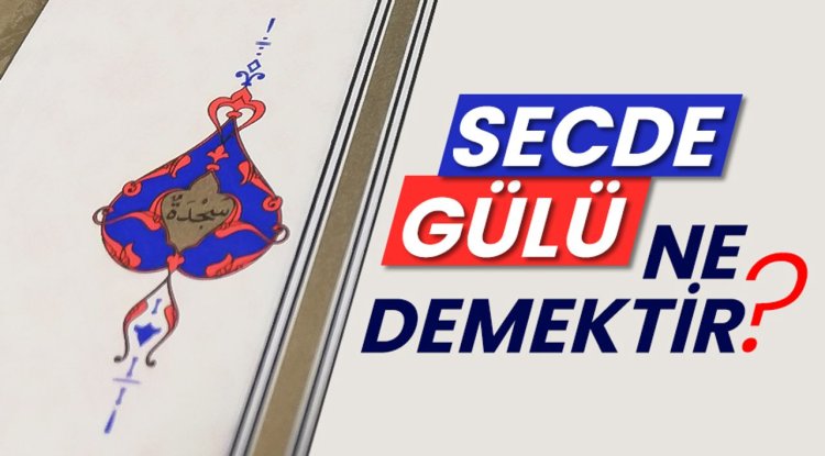 Secde gülü ne demektir?