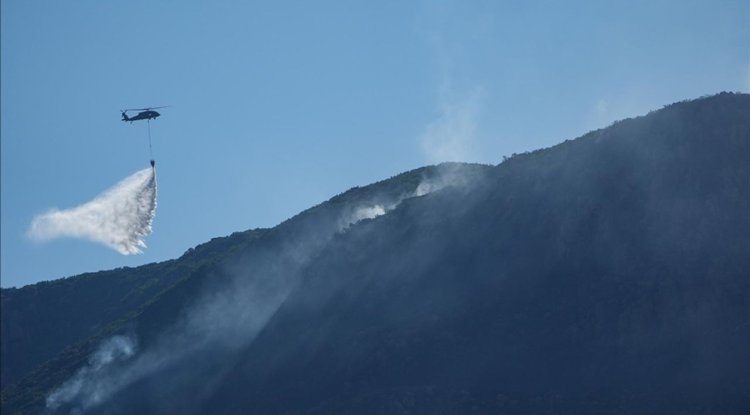 İzmir'in Seferihisar ilçesinde orman yangını çıktı