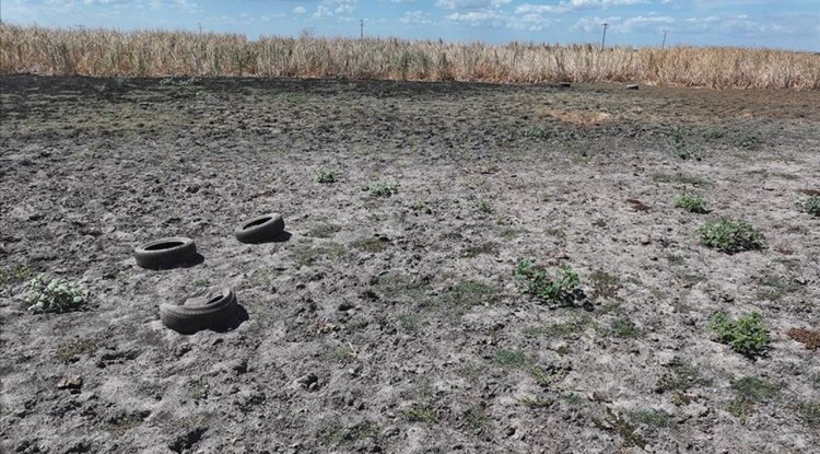 Edirne'deki Yağcılı Göleti kuraklık nedeniyle kurudu