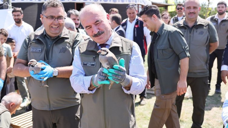 Çorum'da 300 keklik doğaya bırakıldı