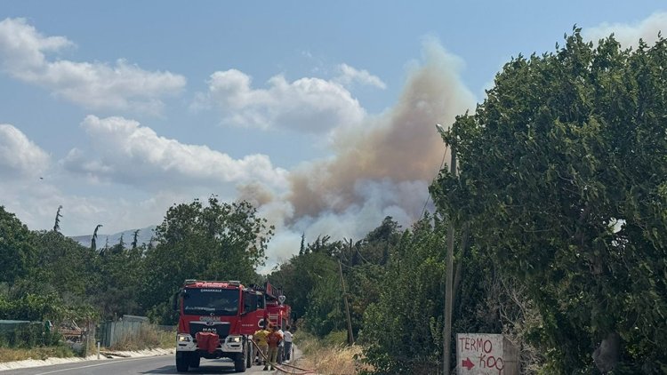 Çanakkale'de tarım arazisinde başlayıp ormana sıçrayan yangına müdahale ediliyor