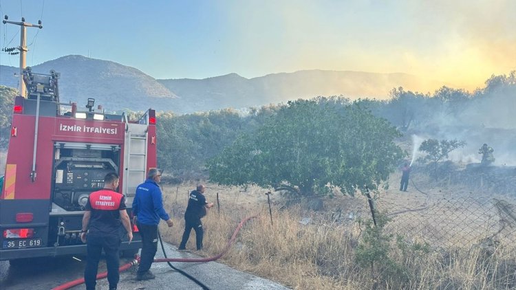 İzmir Dikili'de sitede çıkarak makilik alana sıçrayan yangına müdahale ediliyor