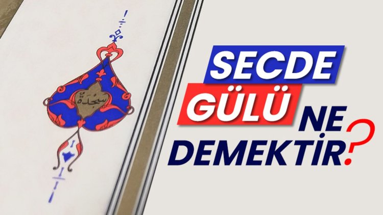 Secde gülü ne demektir?