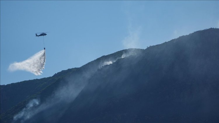 İzmir'in Seferihisar ilçesinde orman yangını çıktı