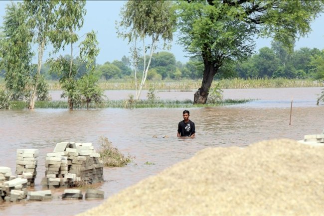 Pakistan'ın Pencap eyaletinde seller nedeniyle ölenlerin sayısı 41'e çıktı