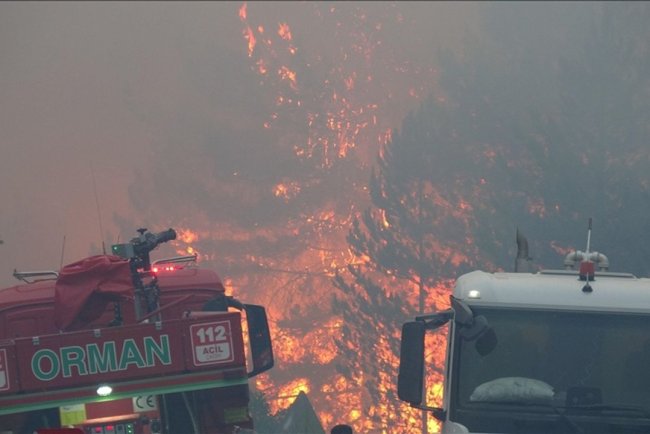 Kastamonu ve Aydın'daki yangınlara müdahale sürüyor