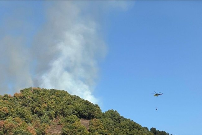 Düzce'de çıkan orman yangını itfaiye ve vatandaşın işbirliğiyle söndürüldü