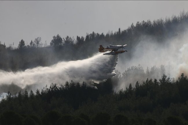 Çanakkale'de orman yangınlarının önüne geçmek için çeşitli kararlar alındı