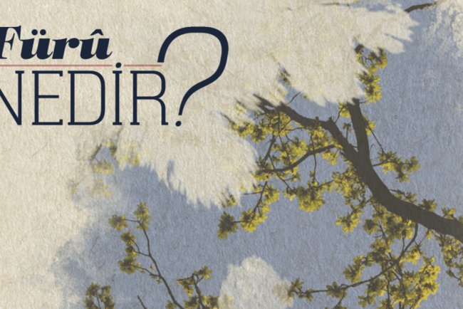 Fürû Nedir?