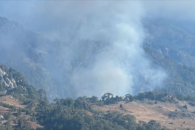 Köyceğiz'de çıkan orman yangınına müdahale ediliyor