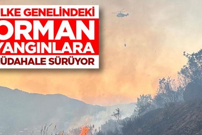 Balıkesir'de çıkan orman yangını kontrol altına alındı, Antalya ve Muğla'daki yangınlara müdahale sürüyor
