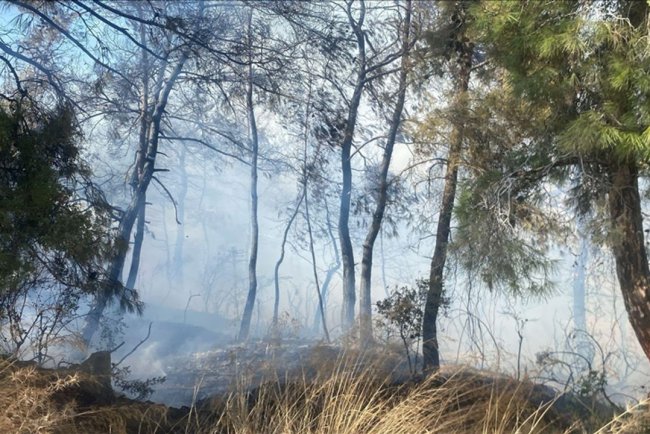 Manavgat'ta tarım arazisinde başlayan yangın ormanlık alana sıçradı