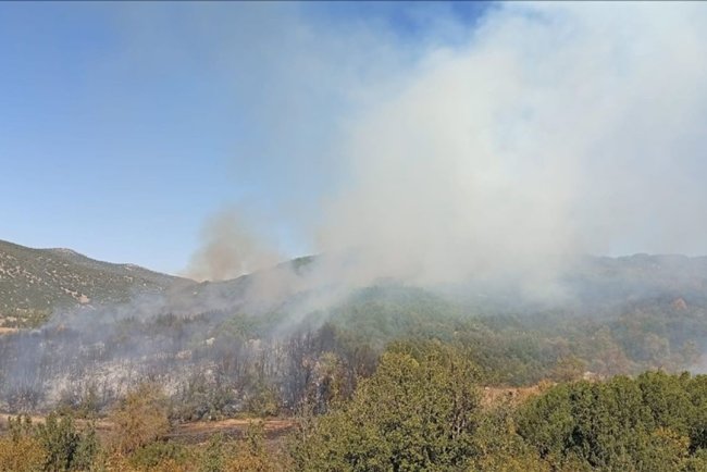 Burdur'da ormanlık alanda çıkan yangına müdahale ediliyor