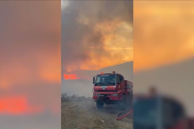 Bursa'da orman yangını çıktı