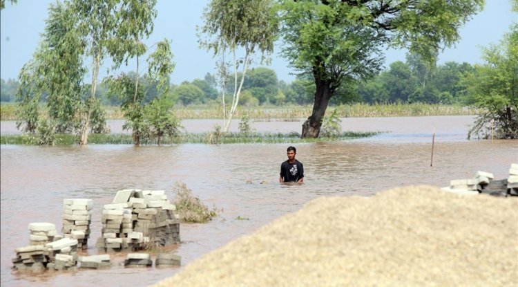 Pakistan'ın Pencap eyaletinde seller nedeniyle ölenlerin sayısı 41'e çıktı