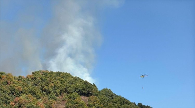 Düzce'de çıkan orman yangını itfaiye ve vatandaşın işbirliğiyle söndürüldü