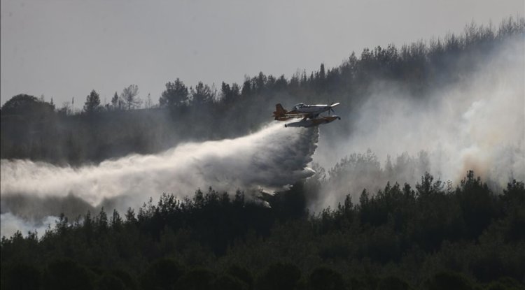 Çanakkale'de orman yangınlarının önüne geçmek için çeşitli kararlar alındı