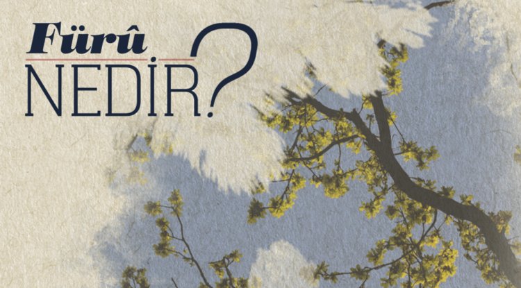 Fürû Nedir?