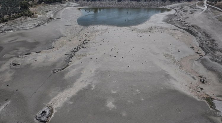 "Olağanüstü kuraklığın" yaşandığı Bursa'da tarım arazilerini besleyen göletin suyu metrelerce çekildi