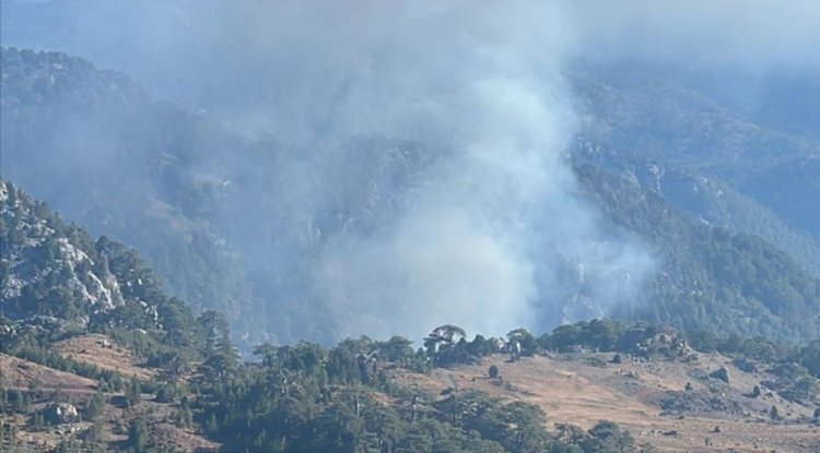 Köyceğiz'de çıkan orman yangınına müdahale ediliyor