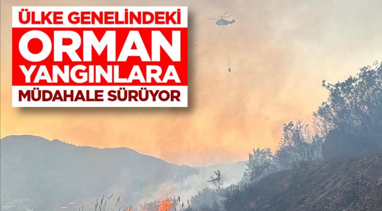 Balıkesir'de çıkan orman yangını kontrol altına alındı, Antalya ve Muğla'daki yangınlara müdahale sürüyor