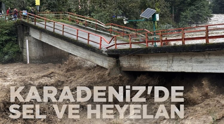 Şiddetli yağış Karadeniz'de sel ve heyelana neden oldu