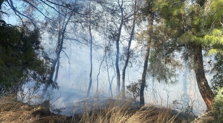 Manavgat'ta tarım arazisinde başlayan yangın ormanlık alana sıçradı