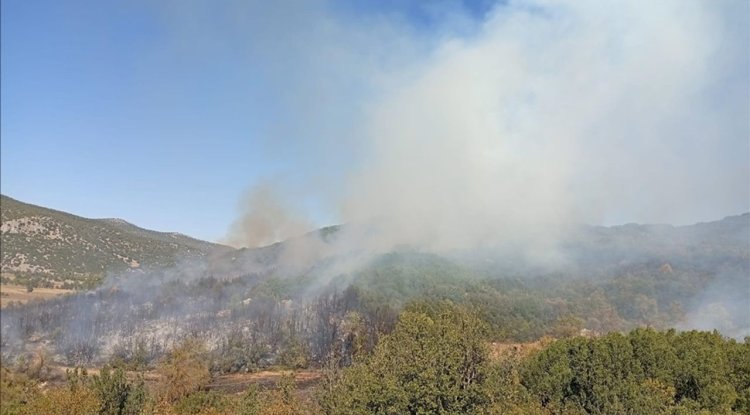 Burdur'da ormanlık alanda çıkan yangına müdahale ediliyor