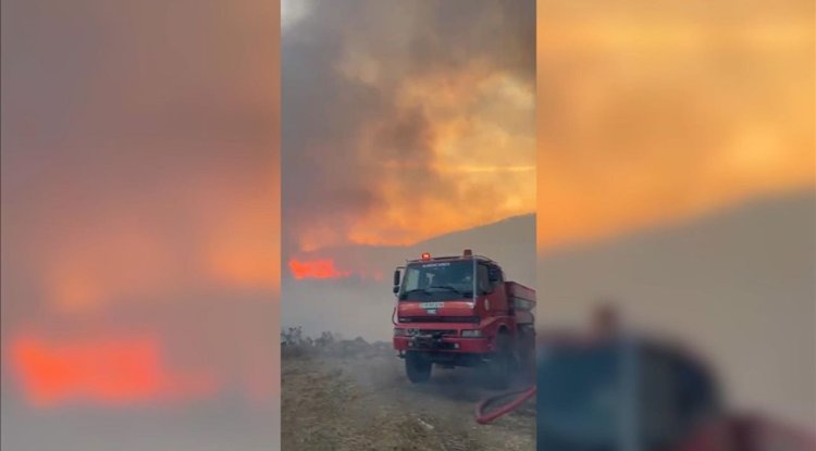 Bursa'da orman yangını çıktı