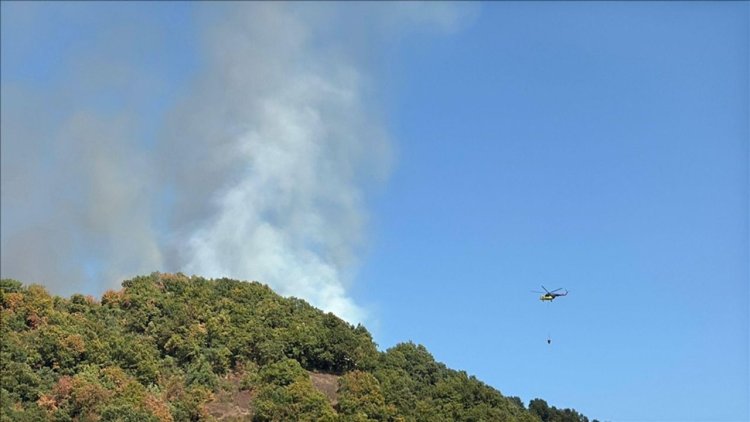 Düzce'de çıkan orman yangını itfaiye ve vatandaşın işbirliğiyle söndürüldü