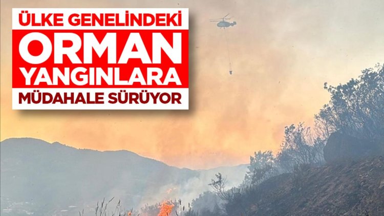 Balıkesir'de çıkan orman yangını kontrol altına alındı, Antalya ve Muğla'daki yangınlara müdahale sürüyor