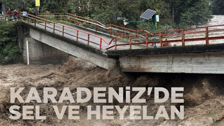 Şiddetli yağış Karadeniz'de sel ve heyelana neden oldu