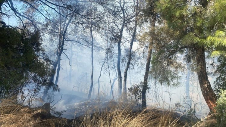 Manavgat'ta tarım arazisinde başlayan yangın ormanlık alana sıçradı
