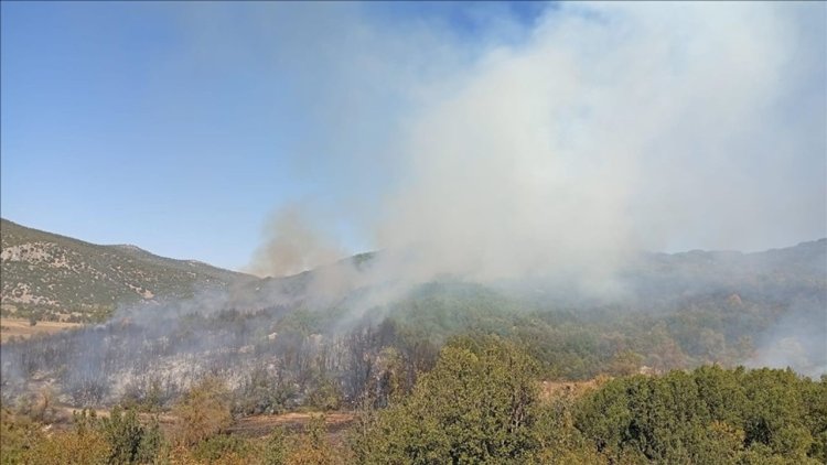 Burdur'da ormanlık alanda çıkan yangına müdahale ediliyor