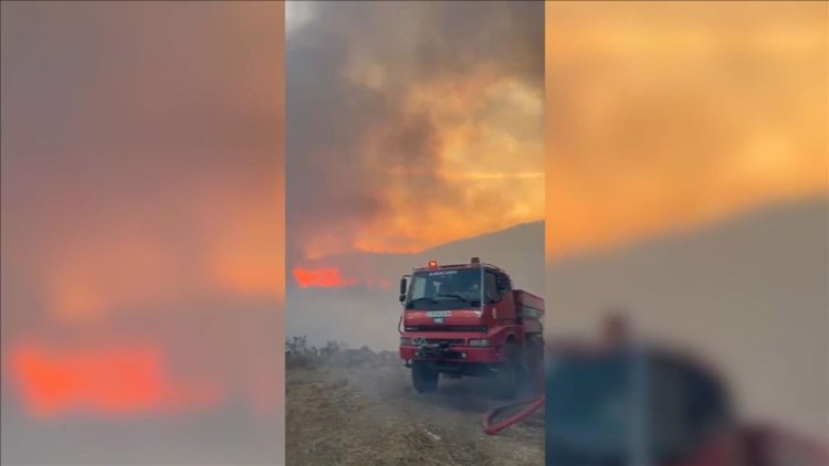 Bursa'da orman yangını çıktı
