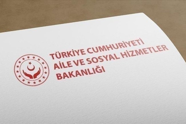 Türkiye'de Kadına Yönelik Şiddet Araştırması-2024 tamamlandı