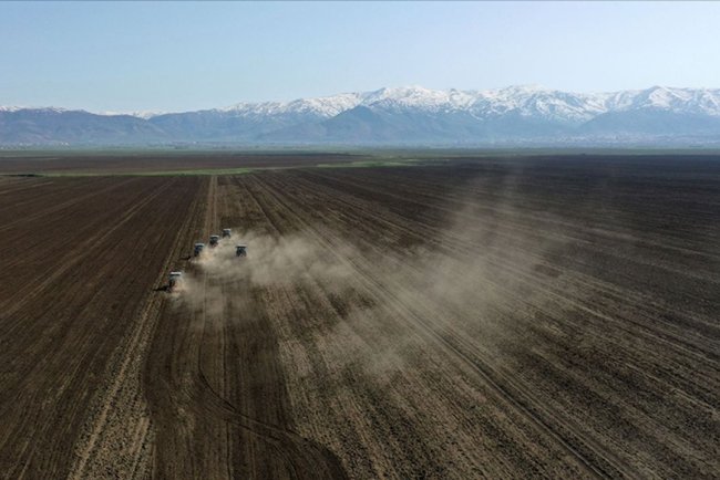 Kuraklıkla mücadelede toprağın daha az işlenmesi tavsiye ediliyor
