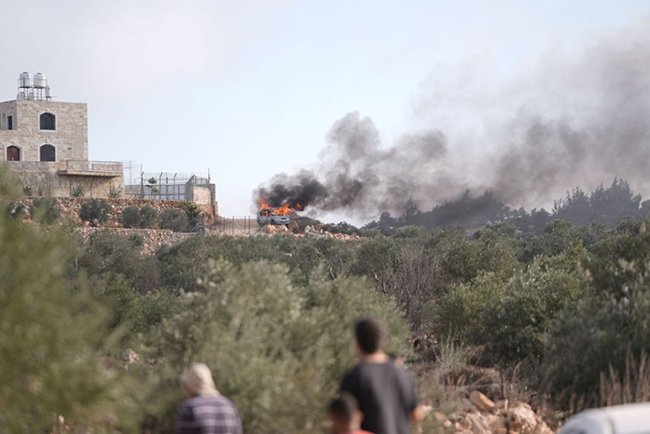 Filistin topraklarını gasbeden işgalciler, Batı Şeria'da zeytin toplayan Filistinlileri hedef alıyor