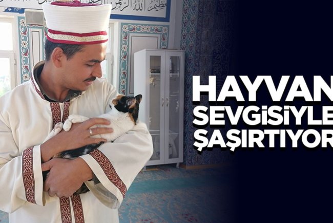 Kedileri leğende yıkayan imam hayvan sevgisiyle şaşırtıyor
