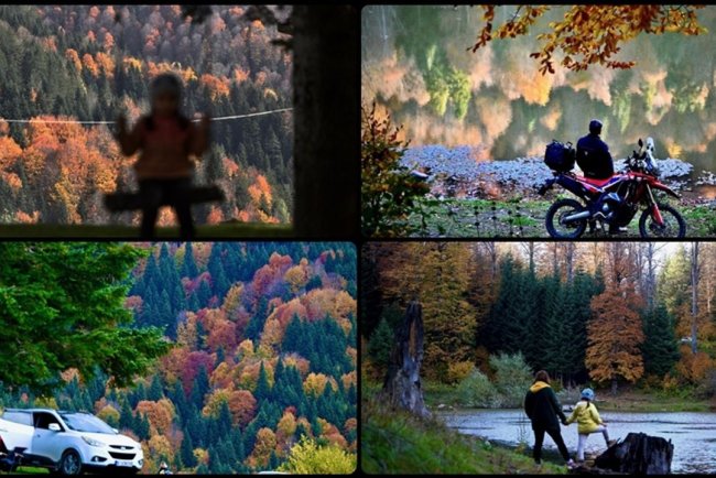 Düzce'nin Odayeri Yaylası ve Torkul Göleti, ziyaretçilerini sonbaharın renkleriyle ağırlıyor