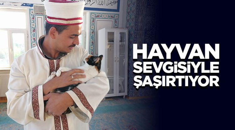 Kedileri leğende yıkayan imam hayvan sevgisiyle şaşırtıyor