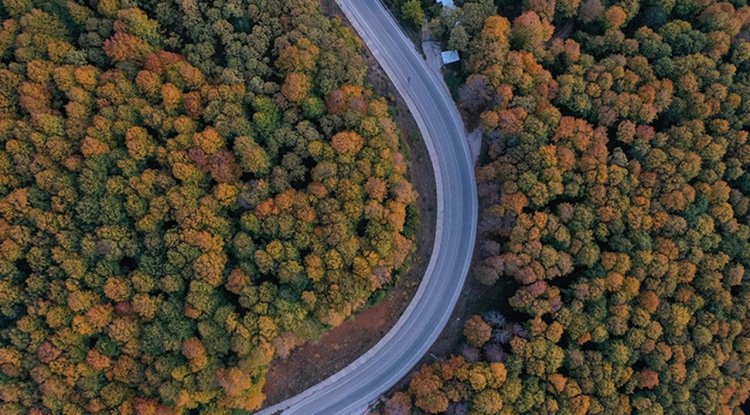 Uludağ'da sonbahar renkleri hakim oldu