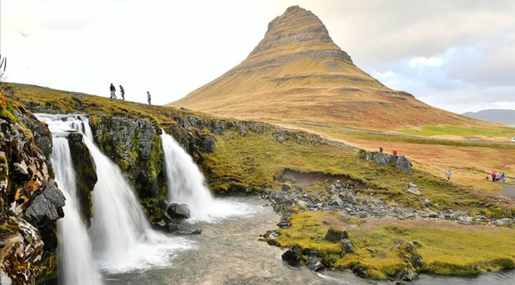 İzlanda'da rekor sıcaklıkların ardından ilk kez sivrisinekler görüldü