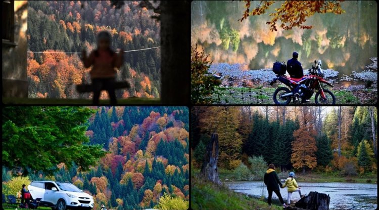 Düzce'nin Odayeri Yaylası ve Torkul Göleti, ziyaretçilerini sonbaharın renkleriyle ağırlıyor