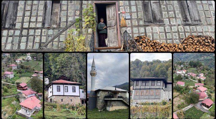 Kestane ağacından yapılan tescilli evler Arılı köyüne ziyaretçi çekiyor