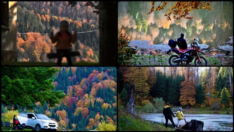 Düzce'nin Odayeri Yaylası ve Torkul Göleti, ziyaretçilerini sonbaharın renkleriyle ağırlıyor